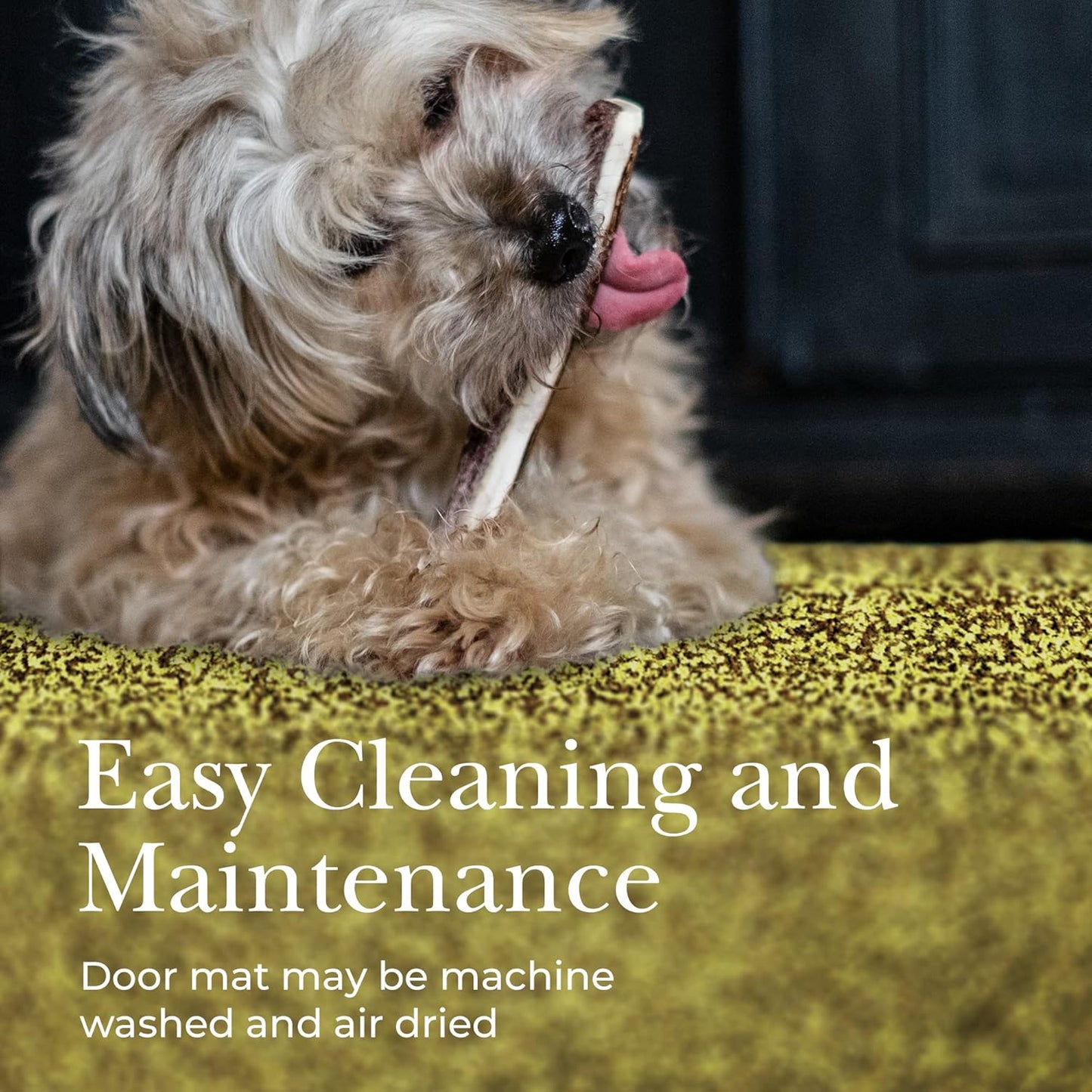 Premium Microfiber Indoor Door Mat – 24"x36" Washable Entry Mat, Non-Slip, Waterproof Backing, Super Absorbent, Low Profile Entryway Doormat for Indoor Entrance