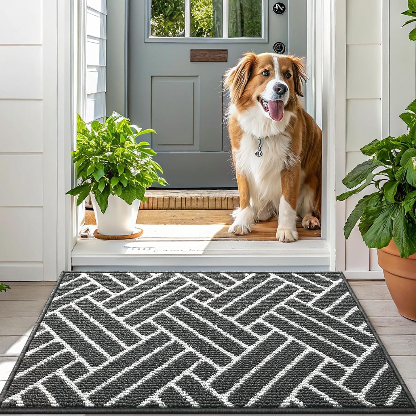 OLANLY Indoor Door Mat, 36x24 Inch, Dirt Resistant and Absorbent, Non-Slip Rubber Backing Floor Mats, Easy Clean Low-Profile Doormat for Entryway, Front Door, and Inside Entrance, Charcoal