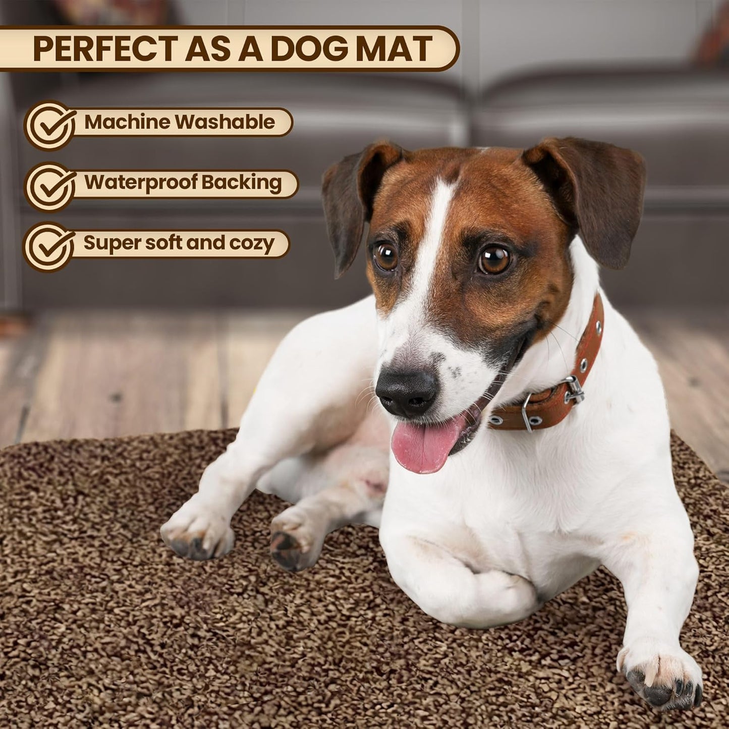Premium Microfiber Indoor Door Mat – 20"x30" Washable Entry Mat, Non-Slip, Waterproof Backing, Super Absorbent, Low Profile Entryway Doormat for Indoor Entrance