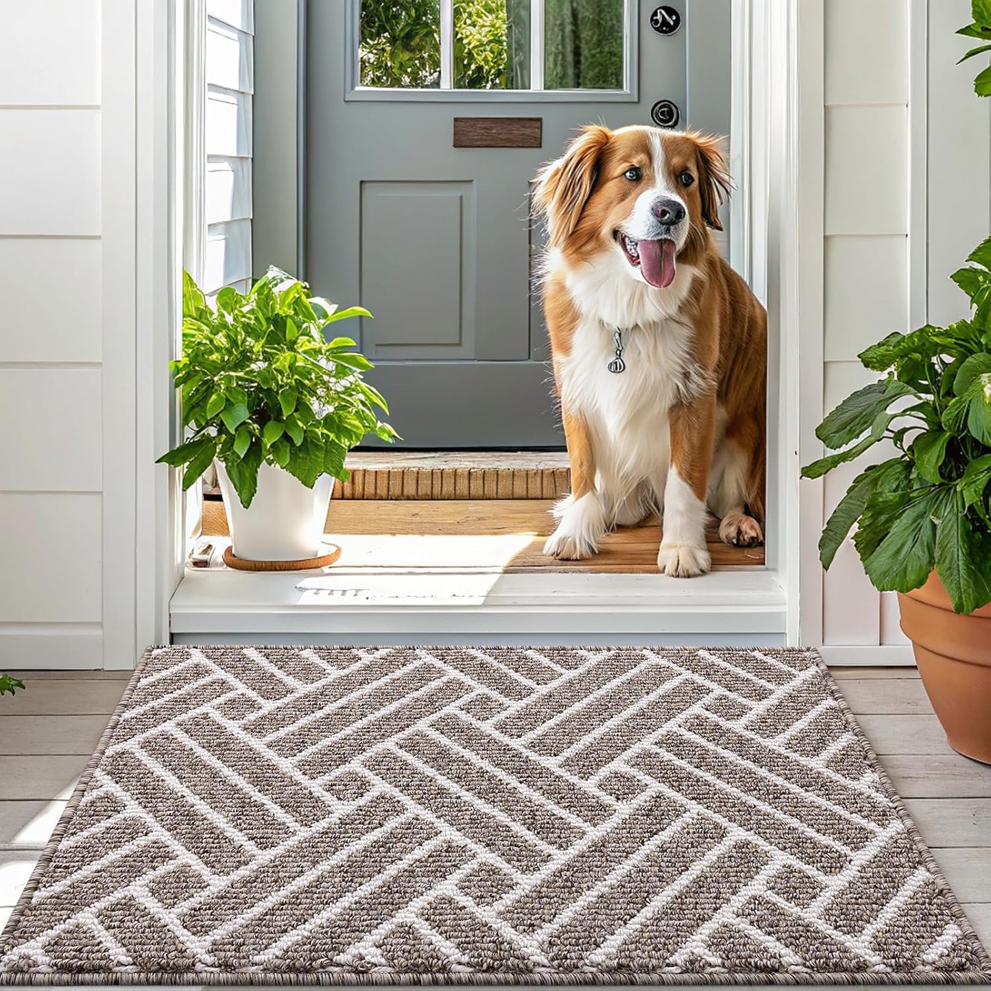 OLANLY Indoor Door Mat, 48x32 Inch, Dirt Resistant and Absorbent, Non-Slip Rubber Backing Floor Mats, Easy Clean Low-Profile Doormat for Entryway, Front Door, and Inside Entrance, Khaki