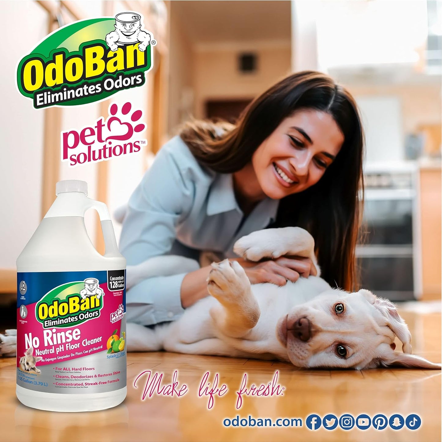 OdoBan Pet Solutions No Rinse Neutral pH Floor Cleaner Concentrate, Made in the USA, Splash O' Citrus Scent, 4 Gallons