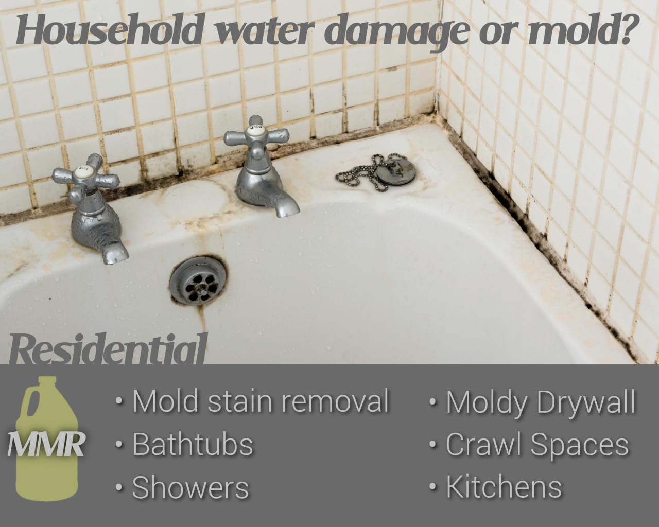 Bad Axe MMR Instant Mold Stain and Mildew Stain Remover - Professional Strength, Contractor Grade Cleaning Solution, Professional Quality Formula, Odor Removal, 1 Gallon (2)