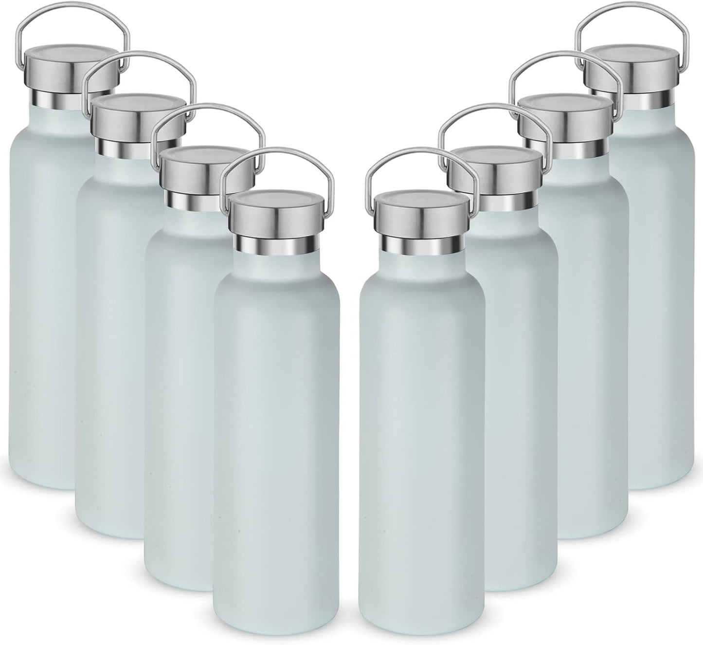 Neihepal 20 oz Insulated Water Bottles Bulk 8 Pack,Stainless Steel Double Wall Sport Bottle with Lid of Handle,Metal Reusable Flask with Cup Cap for School,Hikers,Gift (Fog,Set of 8)