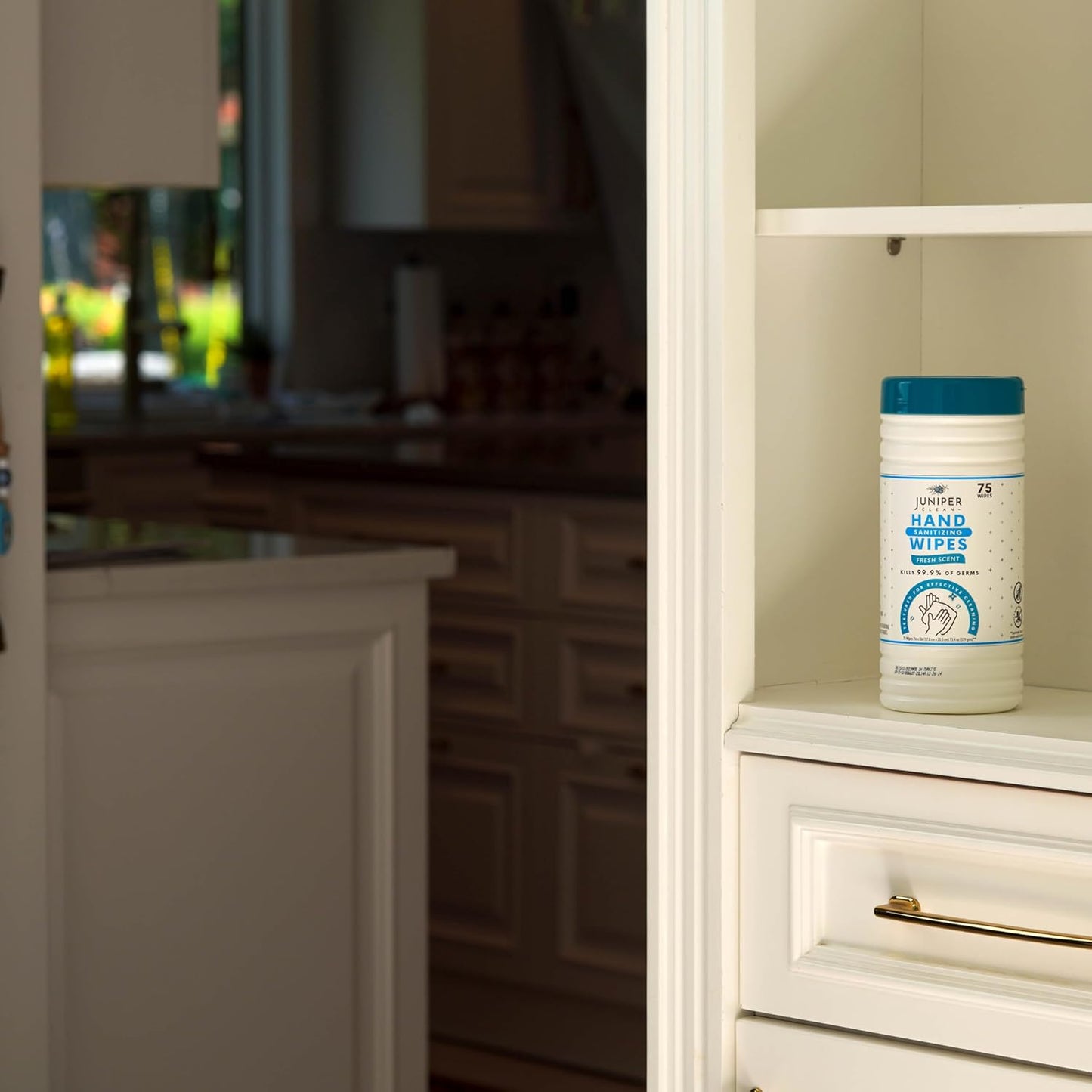 1 Pack Hand Sanitizing Wipes, Alcohol Free 75 Count Canister Disposable Hand Sanitizer Wipes, Fresh Scent, Lint Free & Durable