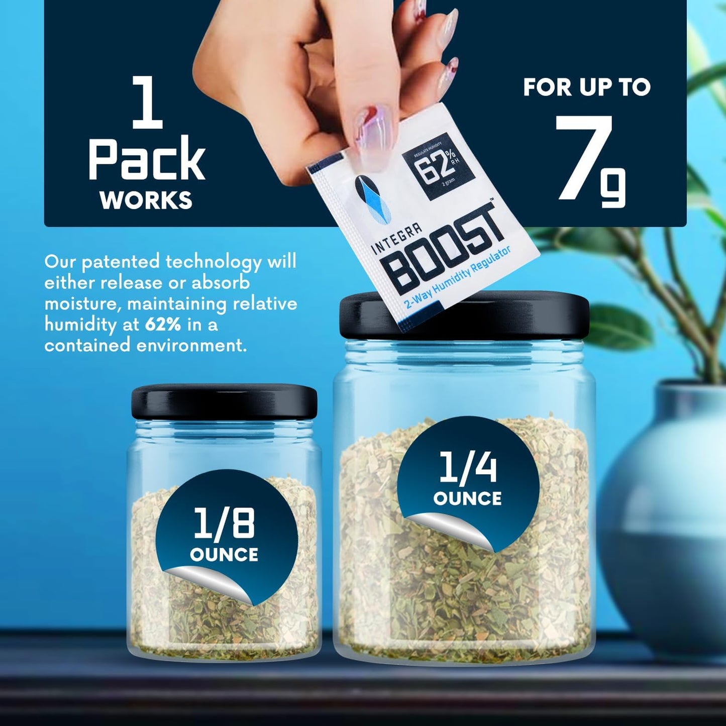 Integra Boost 2-Way Humidity Control Pack – Patented Technology for Humidity Control – Preserve Flavor & Maintain 62% RH – Moisture Absorber for Herbs, Spices & More – 2 Gram (Pack of 6)