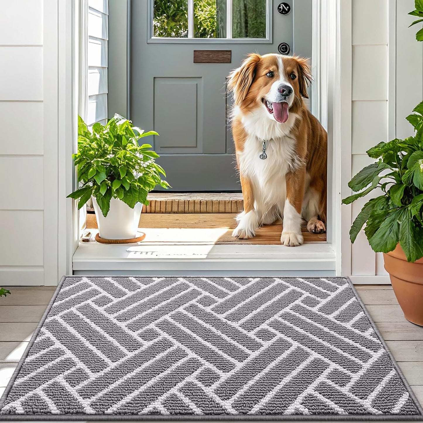 OLANLY Runner Indoor Door Mat, 47x20 Inch, Dirt Resistant and Absorbent, Non-Slip Rubber Backing Floor Mats, Easy Clean Low-Profile Doormat for Entryway, Front Door, and Inside Entrance, Grey