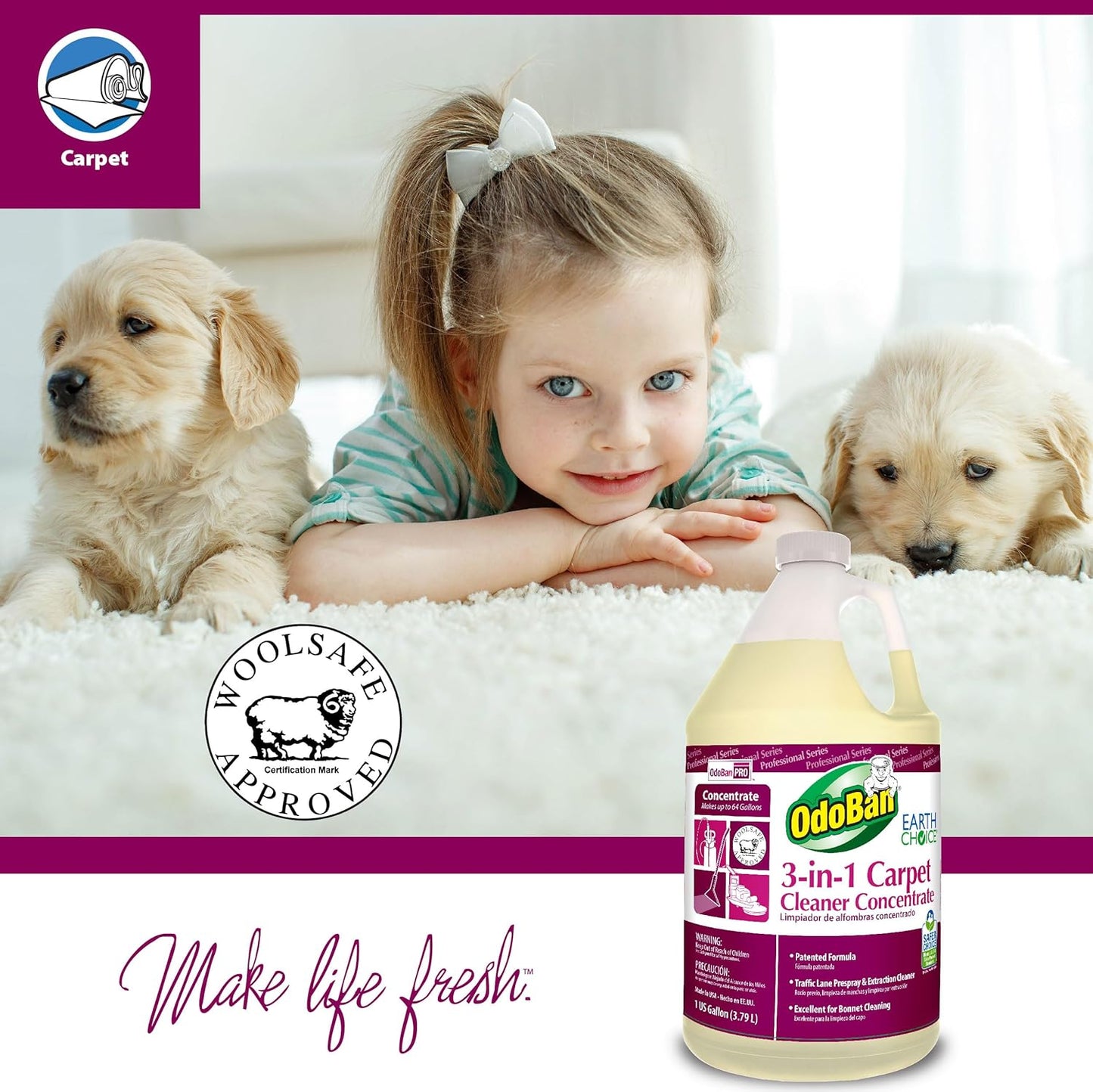 OdoBan Professional Series 3-in-1 Carpet Cleaner Concentrate, Made in the USA, Set of 2, 1 Gallon Each