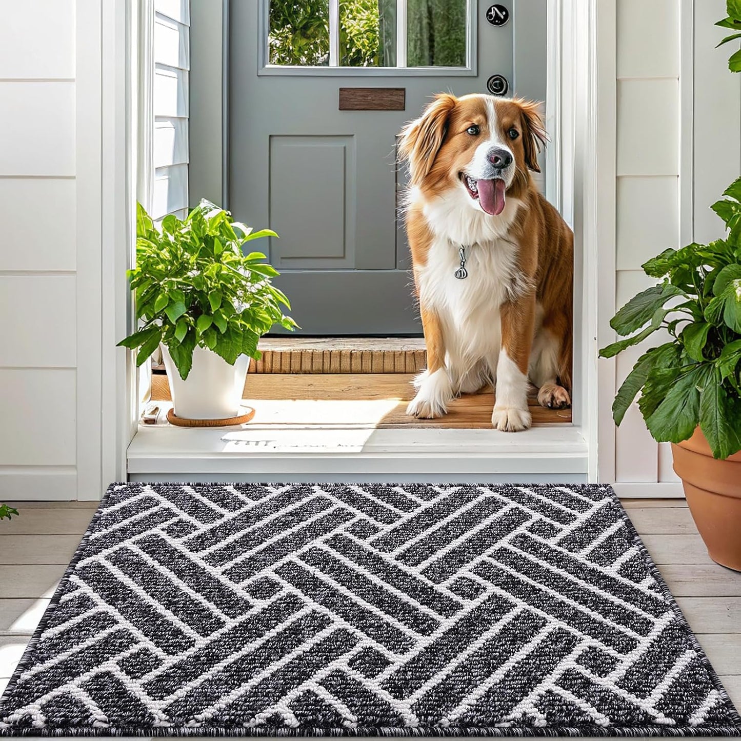 OLANLY Indoor Door Mat, 48x32 Inch, Dirt Resistant and Absorbent, Non-Slip Rubber Backing Floor Mats, Easy Clean Low-Profile Doormat for Entryway, Front Door, and Inside Entrance, Black