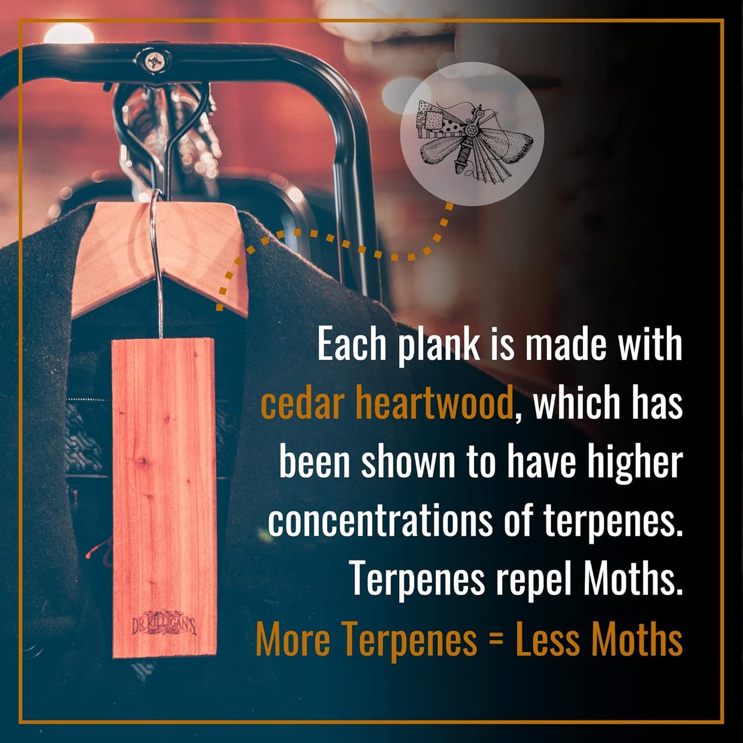 Dr. Killigan's Cedarwood Planks - Cedar Blocks for Clothes Storage, Great Alternative to Moth Balls for Closet, Drawer Deodorizer, Sustainably Harvested in USA (10-Pack)