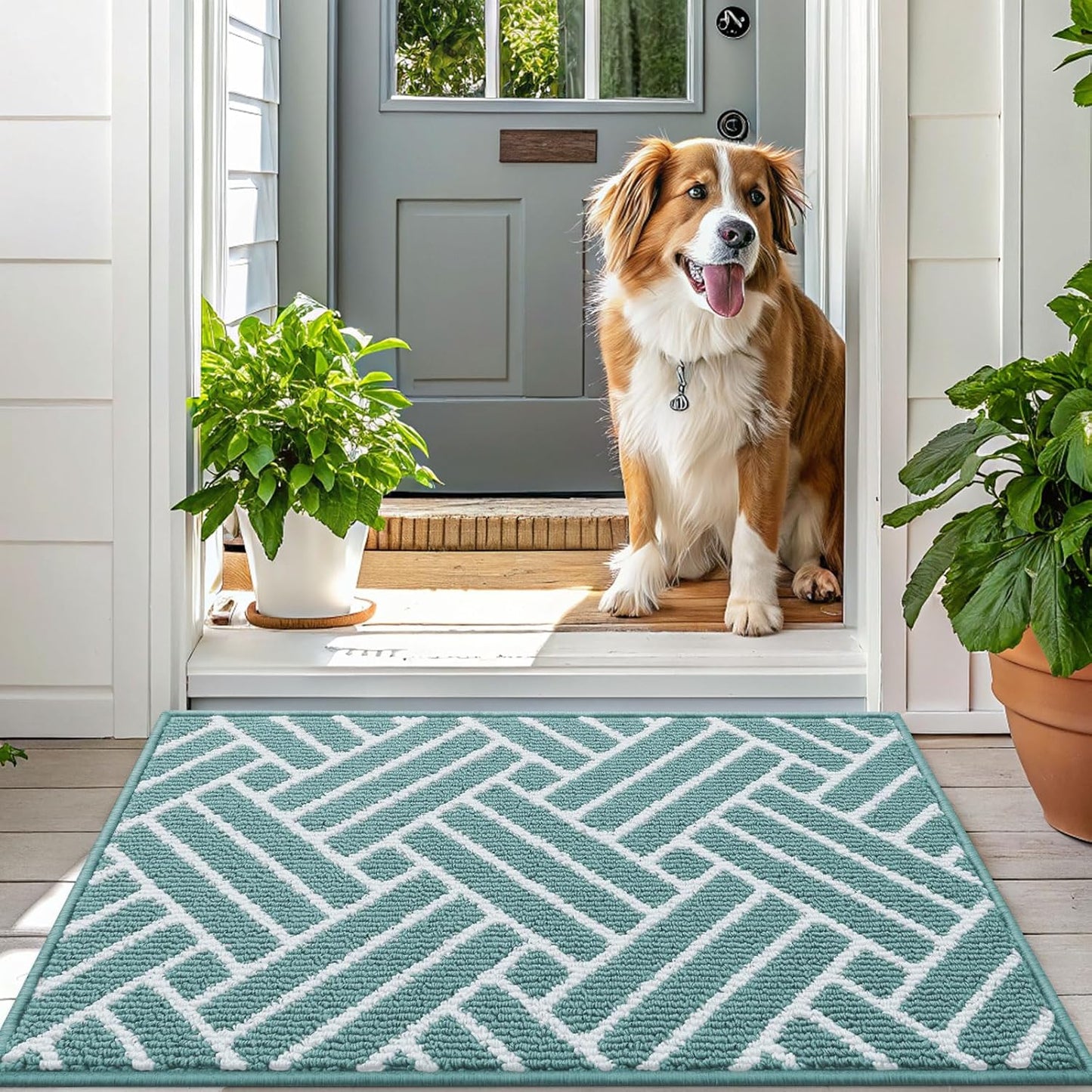 OLANLY Indoor Door Mat, 36x24 Inch, Dirt Resistant and Absorbent, Non-Slip Rubber Backing Floor Mats, Easy Clean Low-Profile Doormat for Entryway, Front Door, and Inside Entrance, Sage Green