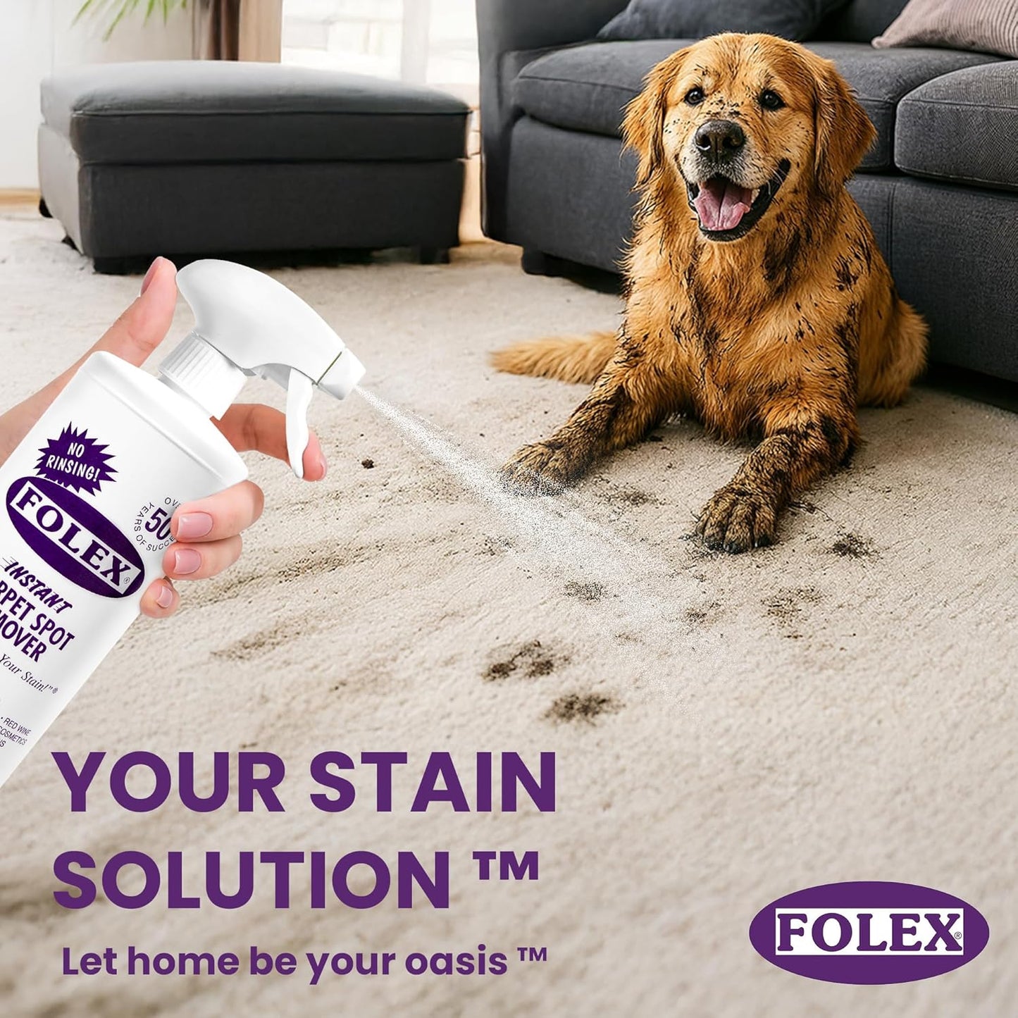 FOLEX Instant Carpet Spot Remover 128 oz - Powerful Stain Remover for Carpets, Upholstery & Rugs - Eliminates Pet Stains, Grease, Red Wine, Food, Makeup & More - With Reusable Cleaning Cloth - 1 Pack