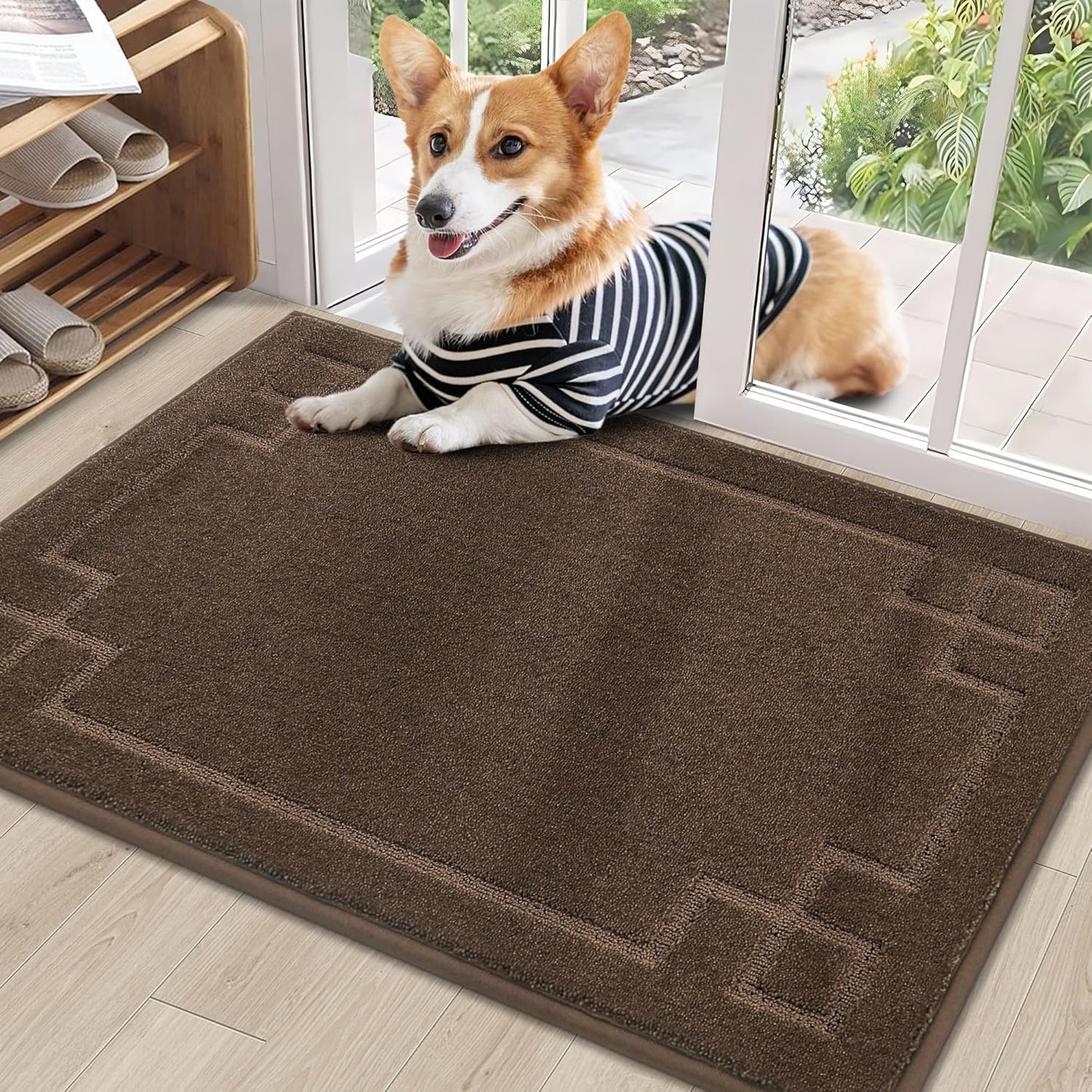BEQHAUSE Door Mat 24" x 36", Non-Slip Door Mats Indoor Entryway Rugs Washable Low-Profile Absorbent and Stain Resist Floor Mats, Dog Door Mat for Front Back Door, Muddy Wet Shoes & Paws, Brown